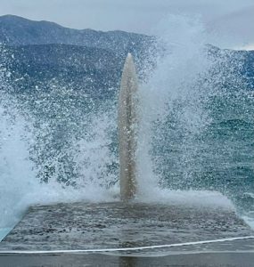 New sculpture on Croatian island raises awareness of endangered species