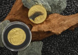 New Croatian coins issued dedicated to famous island inhabitant