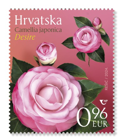 Explore Opatija's floral legacy with Croatian Post's new stamps. Learn about camellias' history, beauty, and significance in gardens worldwide.