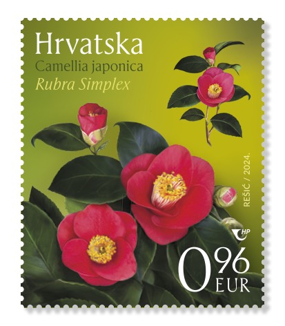 Explore Opatija's floral legacy with Croatian Post's new stamps. Learn about camellias' history, beauty, and significance in gardens worldwide.
