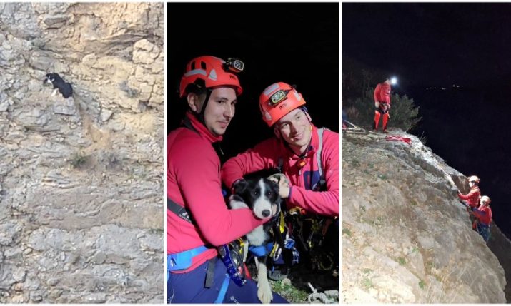 Dog saved from cliff edge in heroic rescue in Croatia 