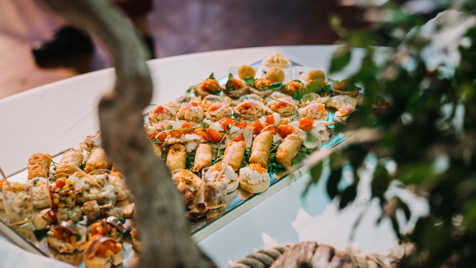 Zadar's Tuna, Sushi & Wine Festival Croatia Week