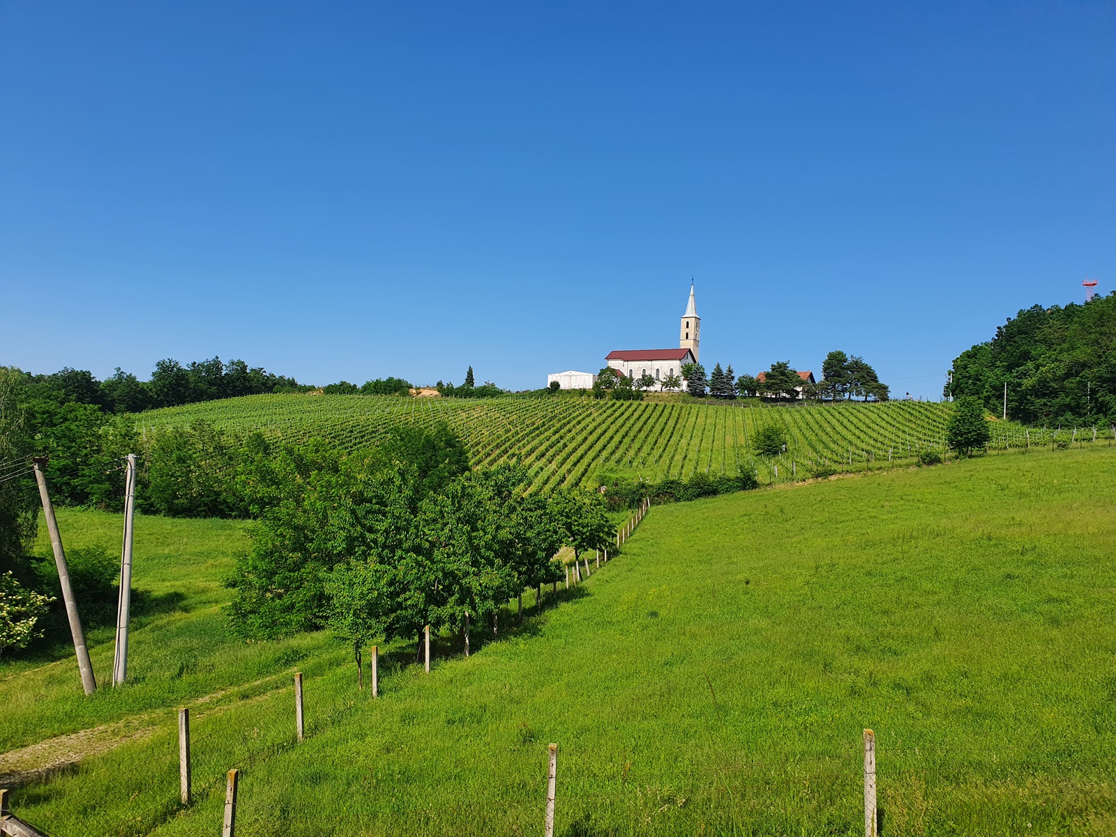 Crowdfunding campaign Help the Diocese of Banja Luka Create a Sustainable Future