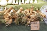 Horseradish from Croatian town gets European protection status 