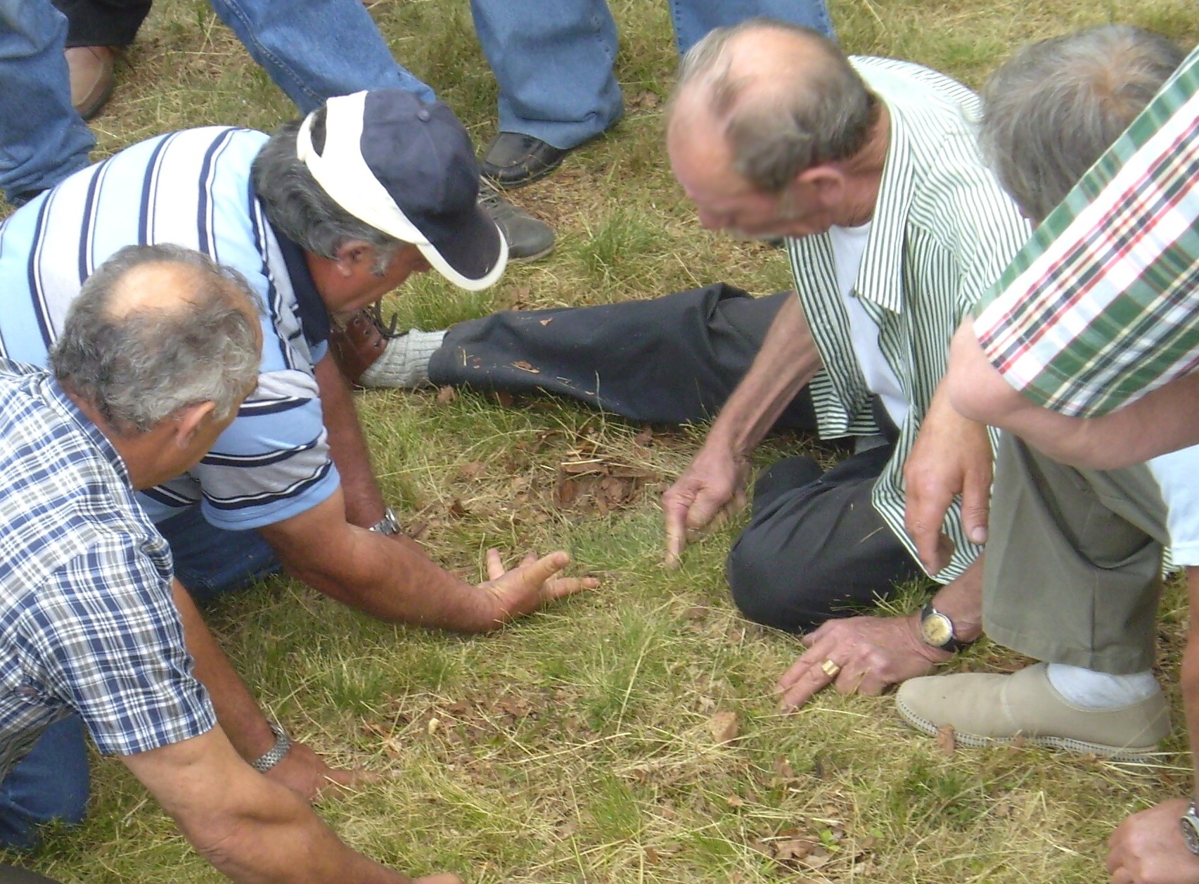 Sijavica game Croatia