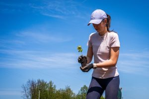 Reforresting in Slunj