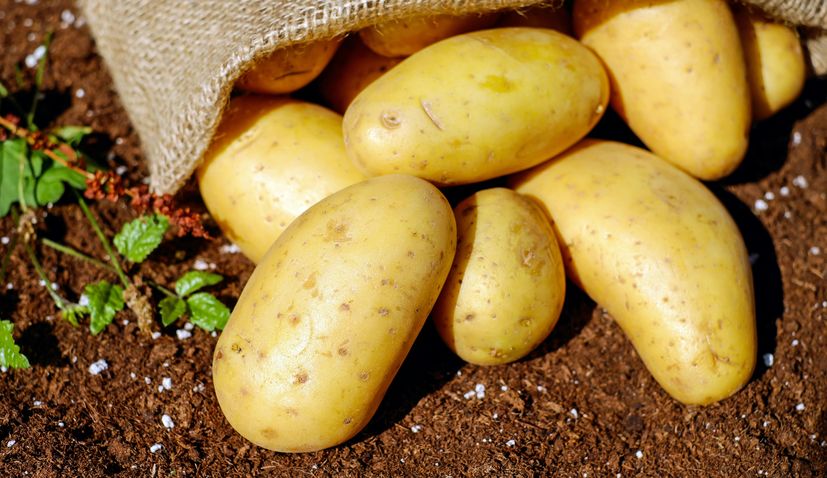 Lika Potatoes