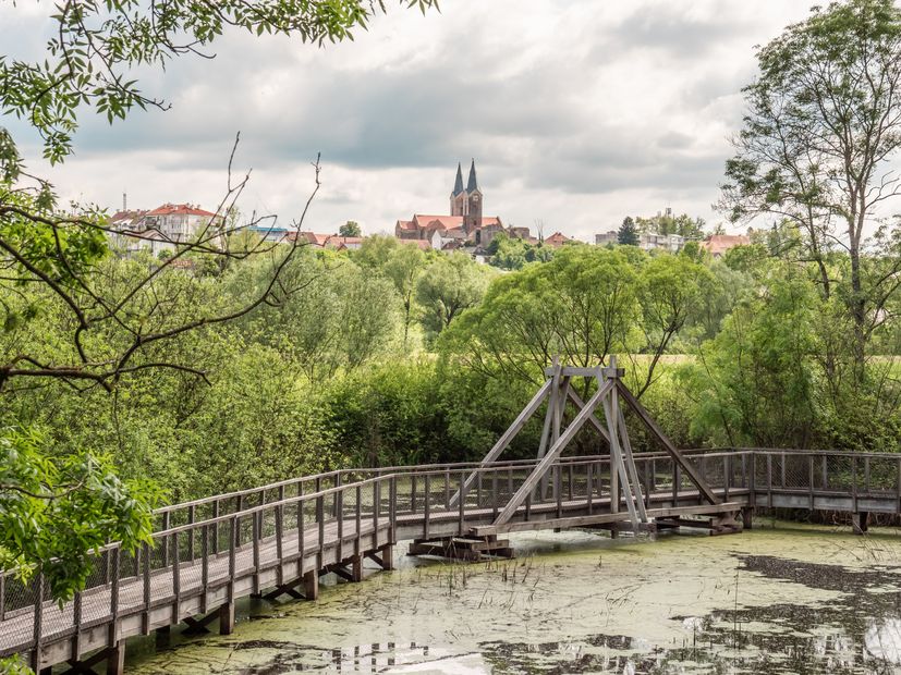 Visiting Čazma: From Croatia’s first biological pool to treetop walks