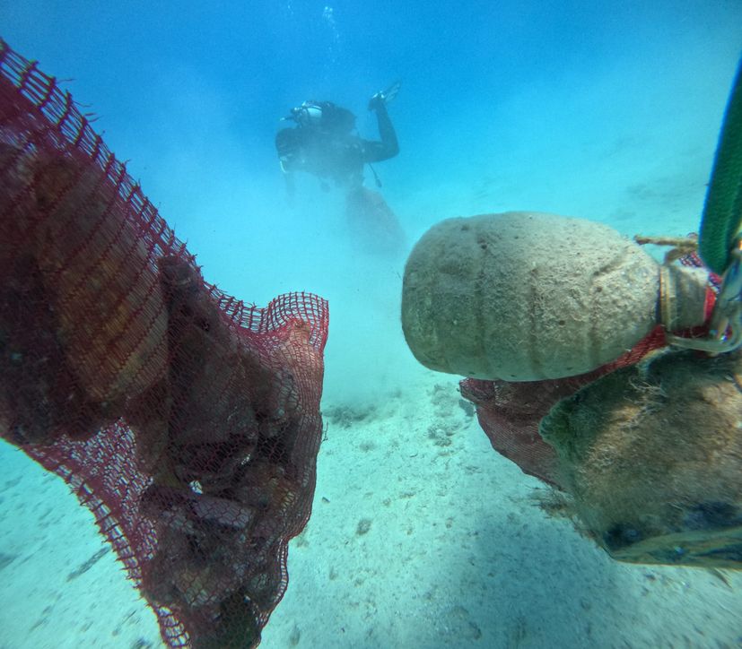 Divers in Loviste Bay 