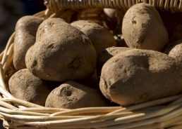 Why Lički krumpir potato variety is among world’s best