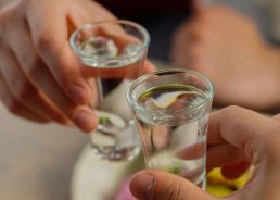 Rakija season begins in Croatia as quality rises – and so do prices