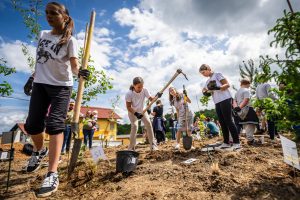 Croatia plants its first ‘Crošnjica’