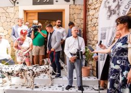 Museum dedicated to Dalmatian dog opens in Dalmatia