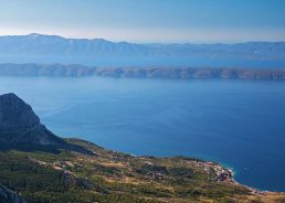 Adriatic Sea changing with rise in new tropical and invasive species