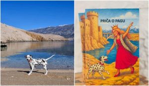 Pago the Dalmatian inspires a children's picture book celebrating Pag Island