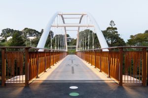 Croatian Maori bridge nz panmure