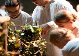 Ever taken part in a grape harvest in Croatia? If not, head to Ilok for the grape harvest festival