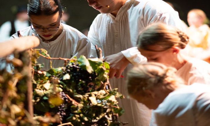 Ever taken part in a grape harvest in Croatia? If not, head to Ilok for the grape harvest festival