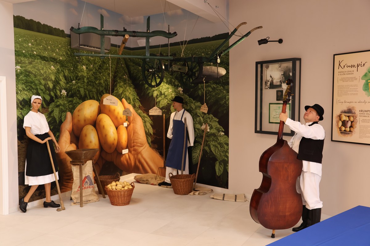 Potato Museum in Belica in Međimurje
