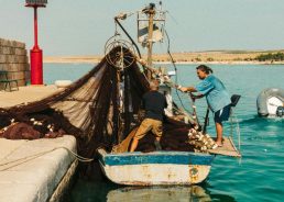 Nearly 50,000 Croatians launch businesses through self-employment scheme