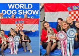 Croatia crowned with world’s most beautiful dog
