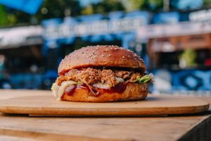 Jellyfish in Space_Classic Pulled Pork