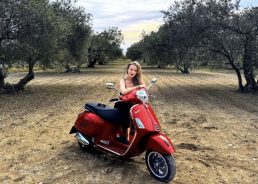 From New York to the Dalmatian groves: Pavić Veselo Olive Oil’s joyful journey