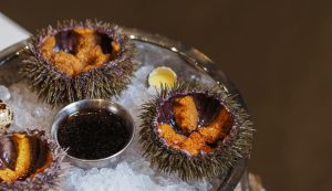 Sea urchin