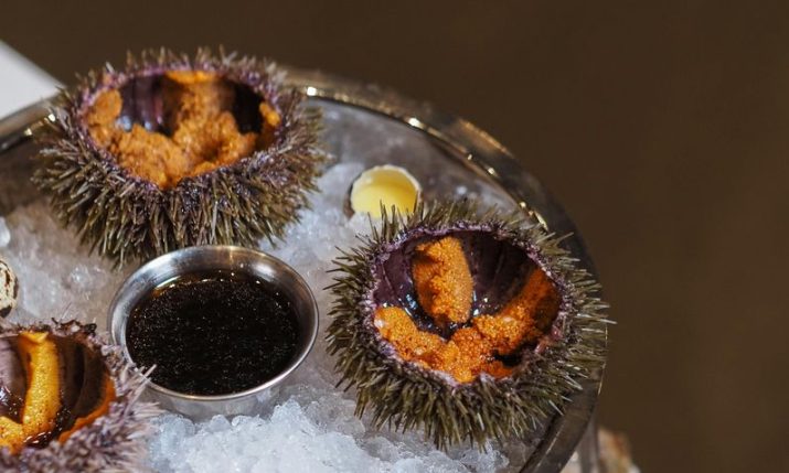 Sea urchins in the Adriatic: Delicacy on the brink of disappearance