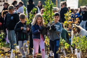 Croatia’s first urban “Crošnjica” forest