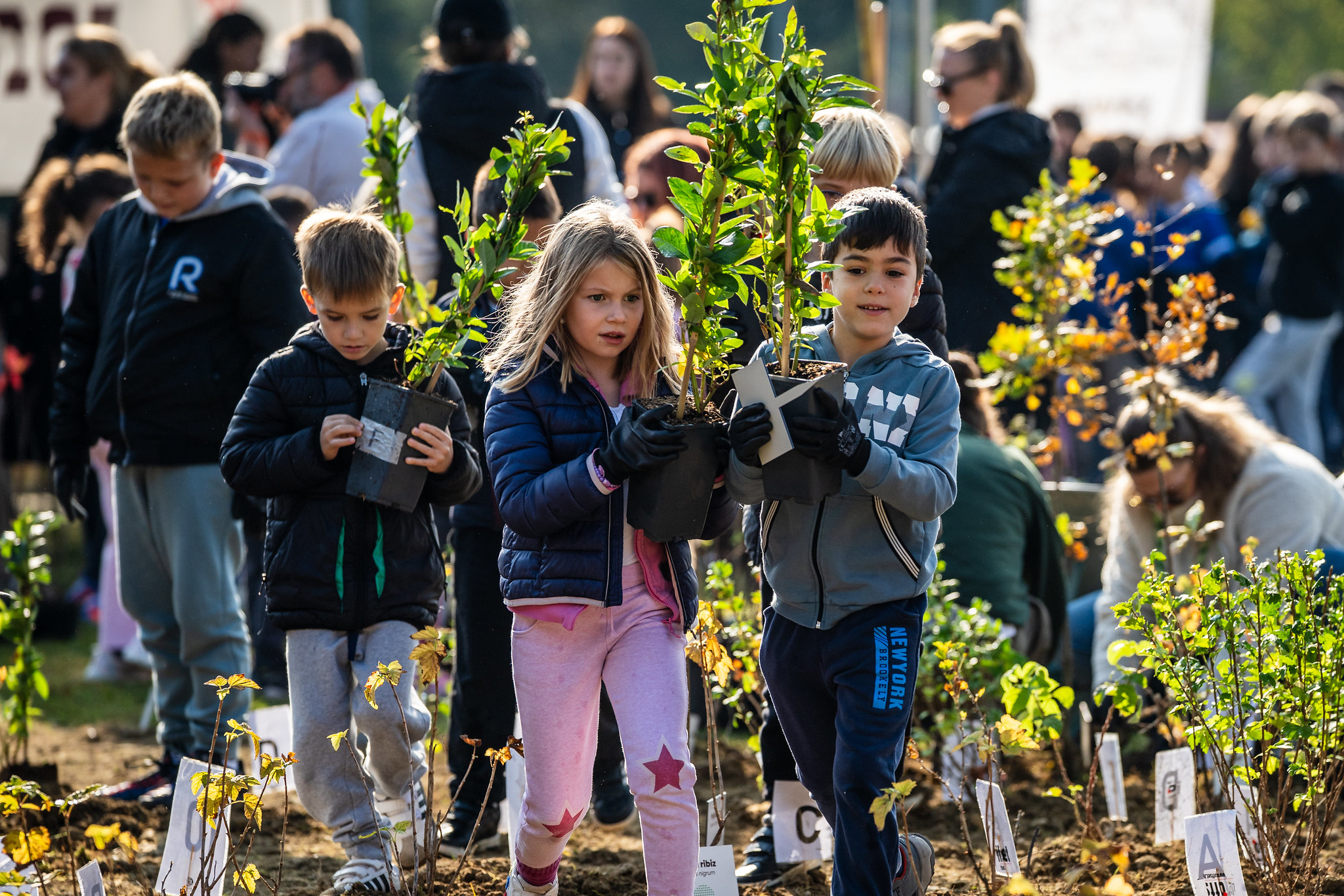 Croatia’s first urban “Crošnjica” forest 