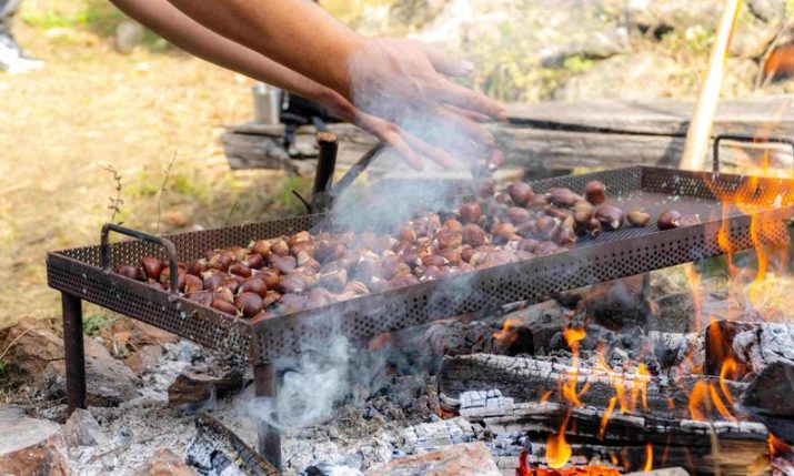 Zelina’s popular chestnut festival set to take place again