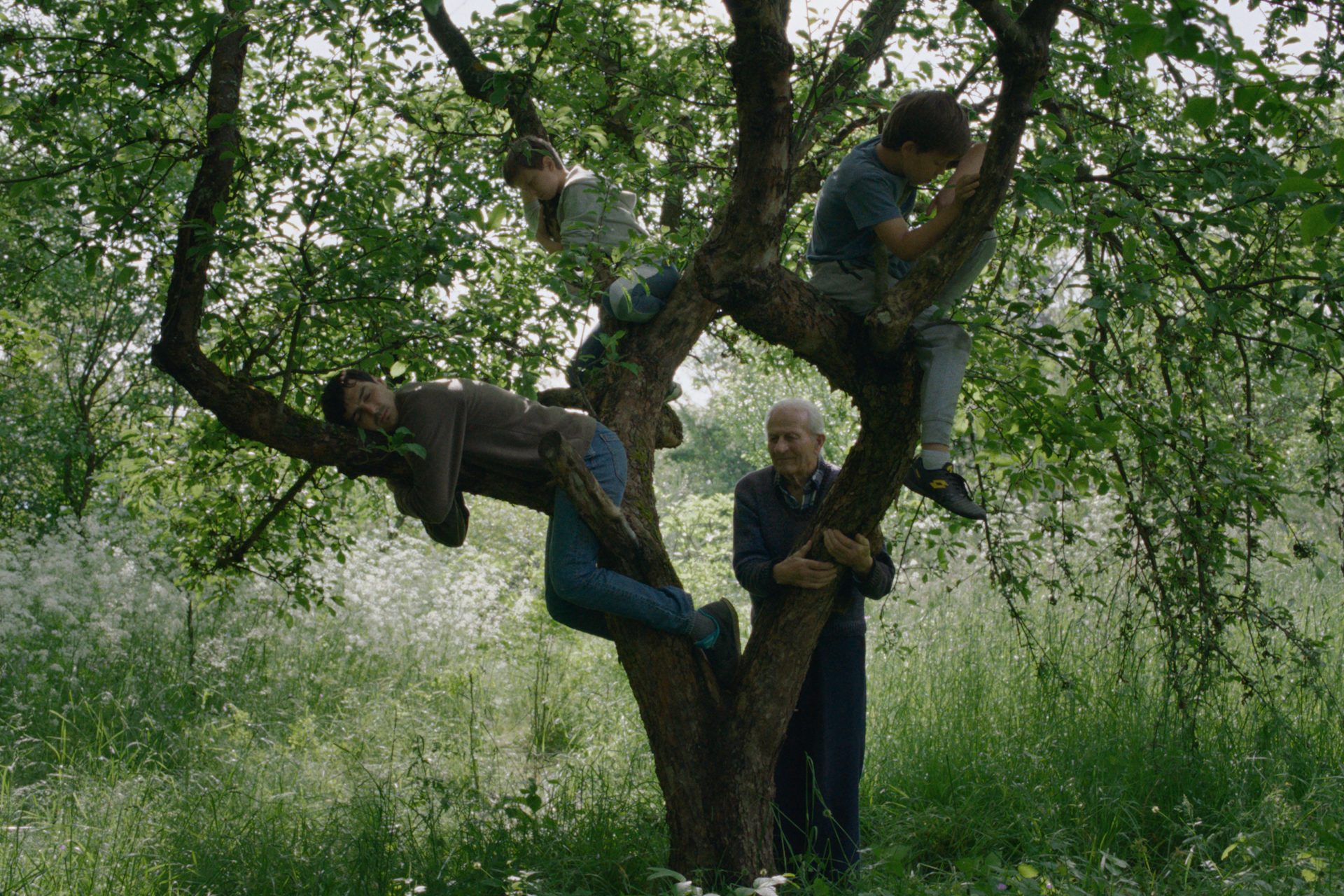 Wind, Talk to Me, directed by Stefan Đorđević