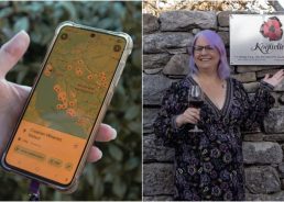 From Chicago to Split: Celebrating five years in Croatia with 100th winery milestone 