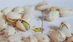 Dalmatia Welcomes Its First Pistachio Orchards