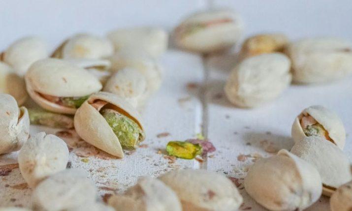 First pistachios planted in Dalmatia mark new chapter in Croatia for sustainable farming