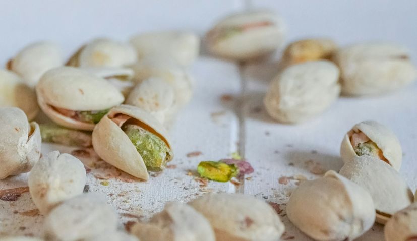 Dalmatia Welcomes Its First Pistachio Orchards