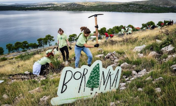 Croatian Boranka campaign wins prestigious international award