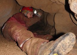 New cave species discovered in Krka National Park