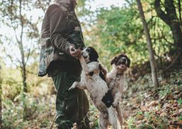 Istria’s white truffle harder to find than ever