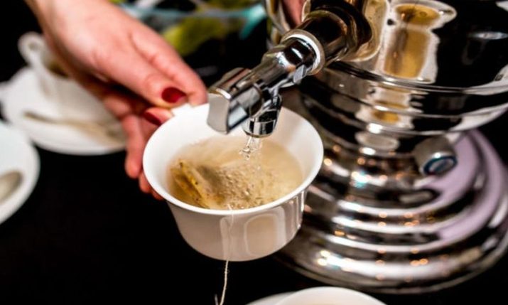 From USA to Japan: Croatian herbal teas conquer global markets