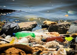 Analysis of labels reveals where rubbish washing up in Dubrovnik comes from