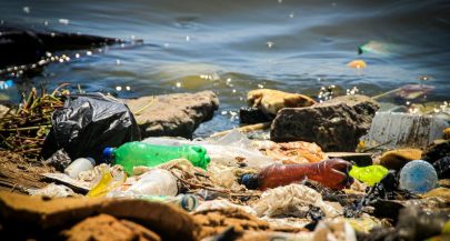 Analysis of labels reveals where rubbish washing up in Dubrovnik comes from