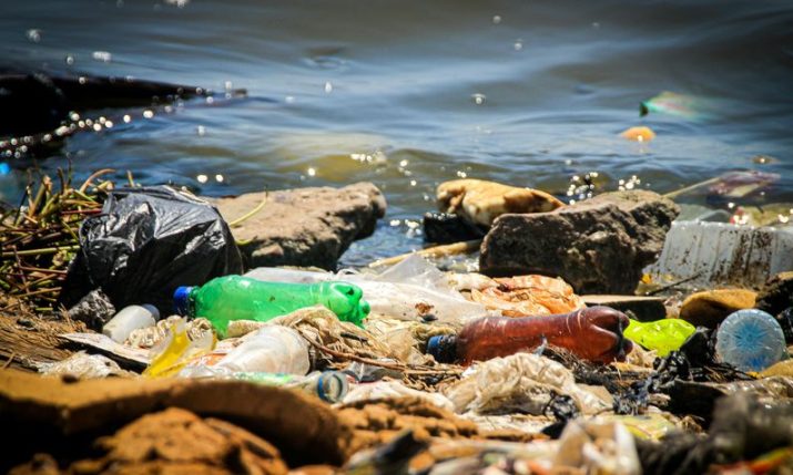 Analysis of labels reveals where rubbish washing up in Dubrovnik comes from