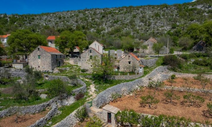 Croatian music photographer Zoran Orlić returns home after 50 years to launch Croatia’s first heritage photo-video documentation service