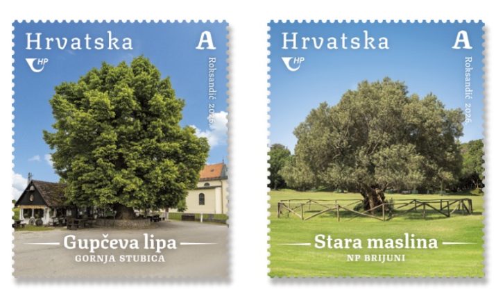 From a 1,600-year-old olive tree to Gubec’s linden: three of Croatia’s most remarkable trees celebrated on new stamps