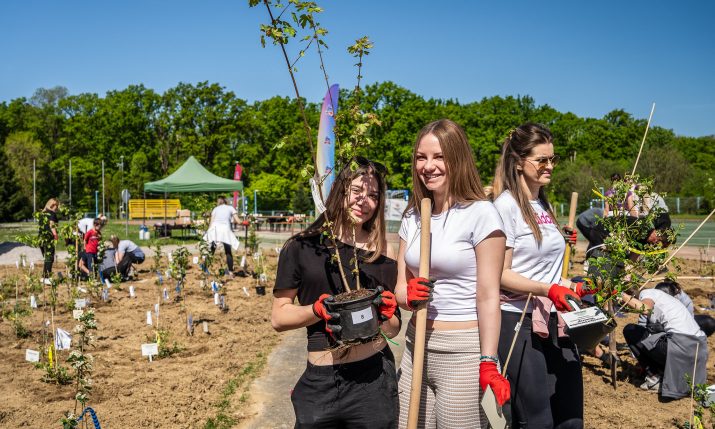Second urban Crošnjica in Croatia is planted in Zaprešić