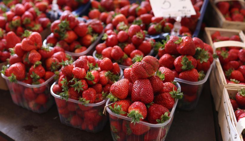 Croatian strawberries could become a luxury as prices climb