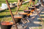 Vukovar’s biggest summer river festival returns along the Danube