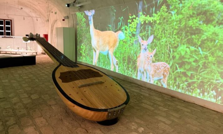 World’s largest bisernica, home of Croatia’s Andersen and zander by the Sava: Welcome to Slavonski Brod